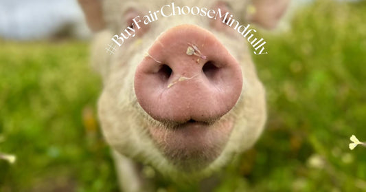 A Different Kind of Black Friday: Buy Fair. Choose Mindfully.