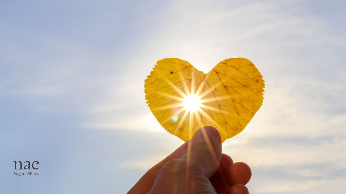 Sustainable September: The Key Awareness Days You Should Know