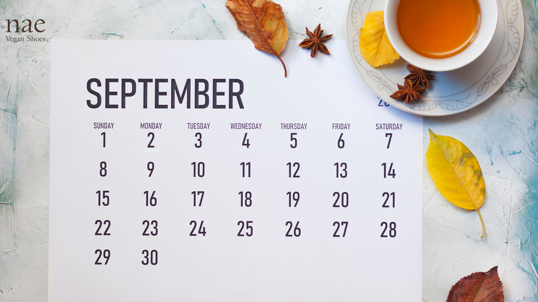 Sustainable September: 5 Simple Ways to Make Your Wardrobe More Ethical