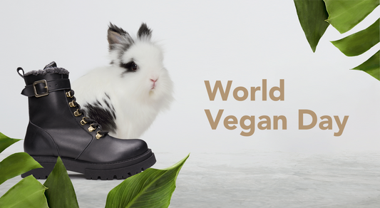 World Vegan Day NAE Vegan Shoes