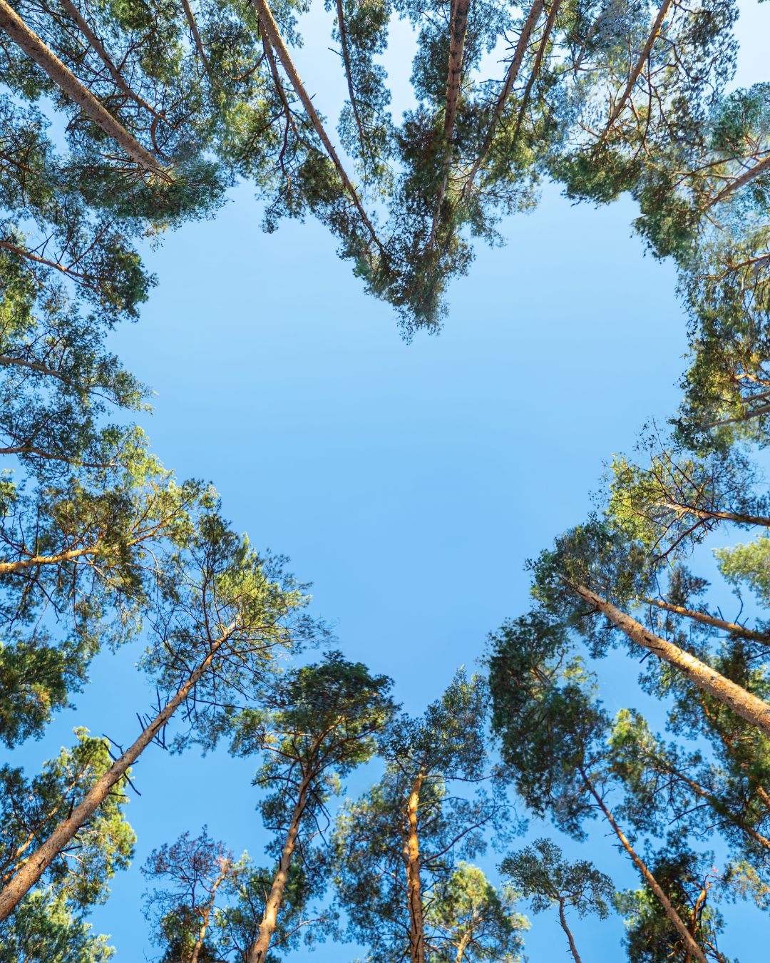 NAE Vegan Shoes Gift Card